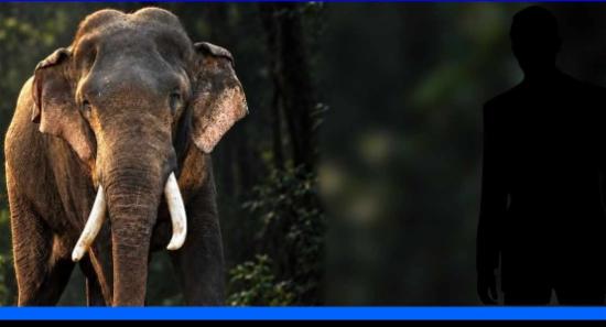 කාවන්තිස්සට වෙඩි තැබු සැකකරු ගැන අනාවරණයක්...